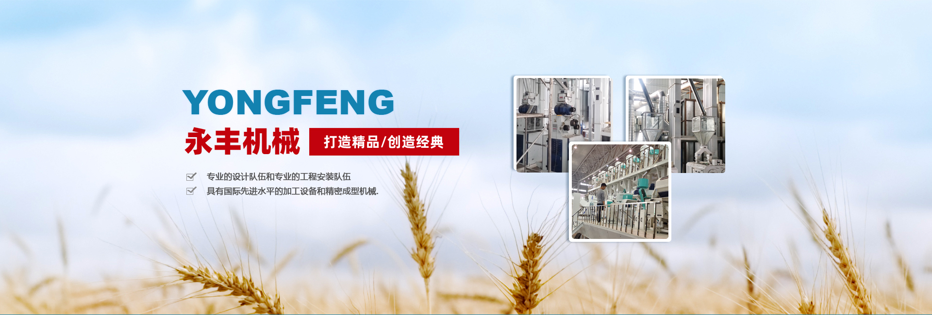 杭州臨安維蘭助劑有限公司